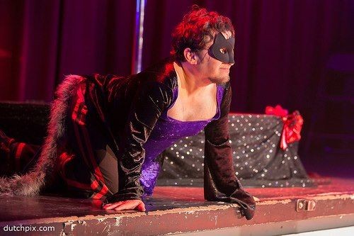 Stage kitten